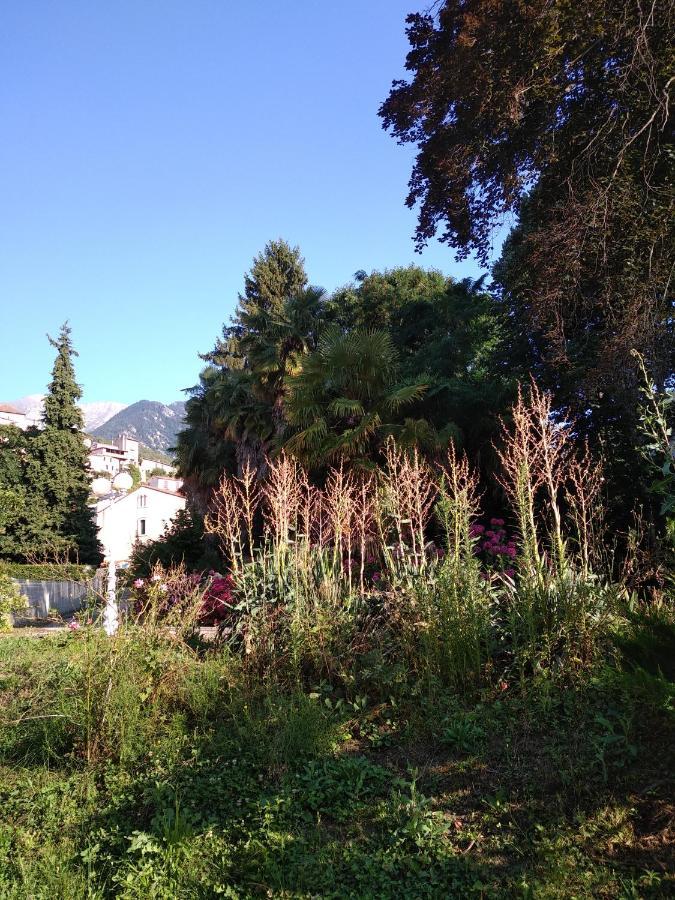Studio Vernet Les Bains公寓 外观 照片